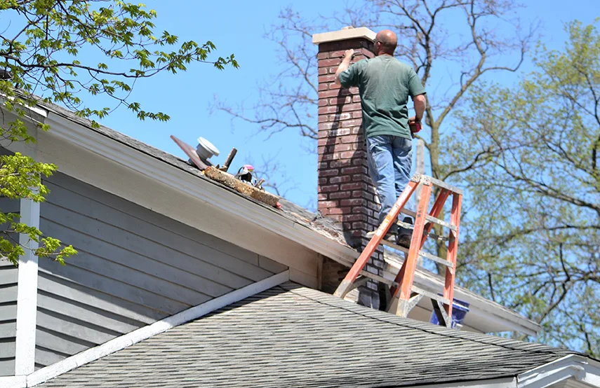 Chimney & Fireplace Inspections Services in Round Lake Beach, IL